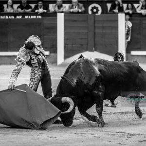 gahirupe_david_mora_alcurrucen_madrid_2019- (5)