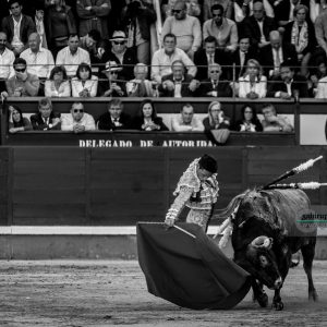 gahirupe_diego_urdiales_alcurrucen_madrid_2019- (2)