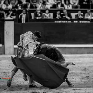 gahirupe_diego_urdiales_alcurrucen_madrid_2019- (5)