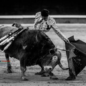 gahirupe_diego_urdiales_alcurrucen_madrid_2019- (7)