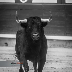 gahirupe_dolores_aguirre_madrid_2019
