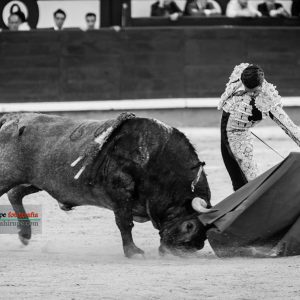 gahirupe_emilio_de_justo_victorino_san_isidro_2019- (5)