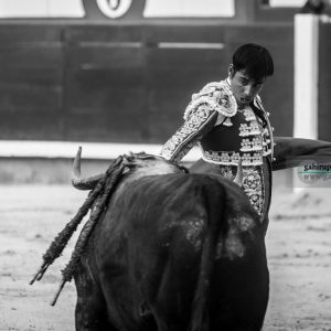 gahirupe_gomez_del_pilar_dolores_madrid_2019- (10)