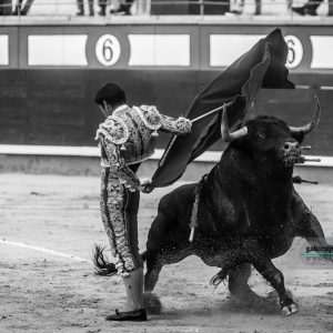gahirupe_gomez_del_pilar_dolores_madrid_2019- (11)