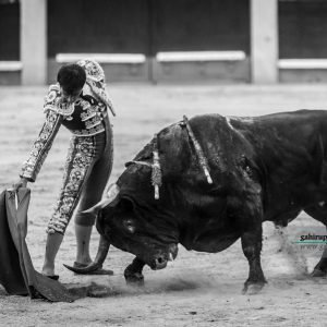 gahirupe_gomez_del_pilar_dolores_madrid_2019- (12)
