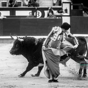 gahirupe_gomez_del_pilar_dolores_madrid_2019- (3)