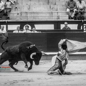 gahirupe_gomez_del_pilar_dolores_madrid_2019- (5)