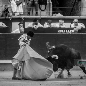 gahirupe_gomez_del_pilar_dolores_madrid_2019- (6)