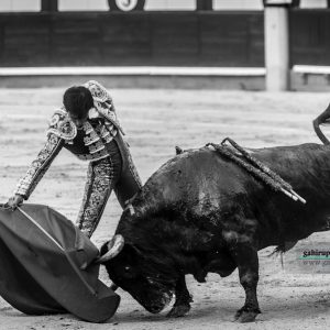 gahirupe_gomez_del_pilar_dolores_madrid_2019- (9)
