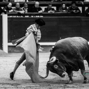 gahirupe_joselito_adame_el_tajo_san_isidro_2019- (3)