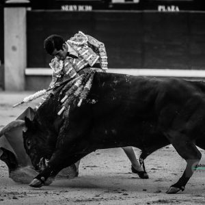 gahirupe_joselito_adame_el_tajo_san_isidro_2019- (4)