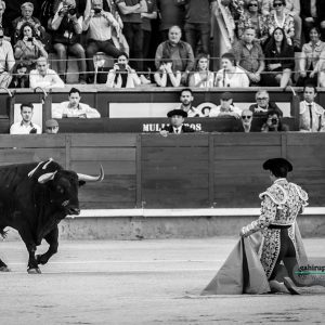 gahirupe_morenito_de_aranda_fuente_ymbro_madrid_2019- (2)