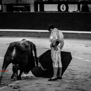 gahirupe_pablo_aguado_montalvo_2019- (5)