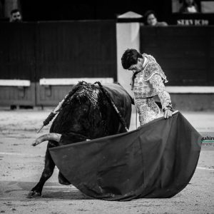 gahirupe_pablo_aguado_montalvo_2019- (8)