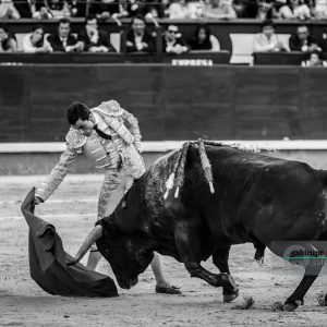 gahirupe_paco_urena_alcurrucen_madrid_2019- (10)