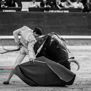 gahirupe_paco_urena_alcurrucen_madrid_2019- (11)