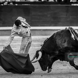 gahirupe_paco_urena_alcurrucen_madrid_2019- (12)