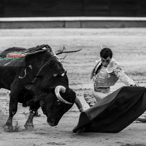 gahirupe_paco_urena_alcurrucen_madrid_2019- (14)