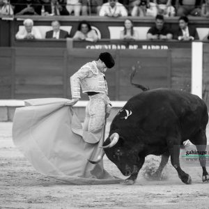 gahirupe_paco_urena_alcurrucen_madrid_2019- (2)