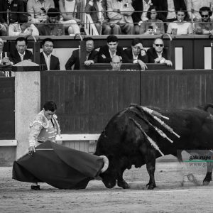 gahirupe_paco_urena_alcurrucen_madrid_2019- (3)