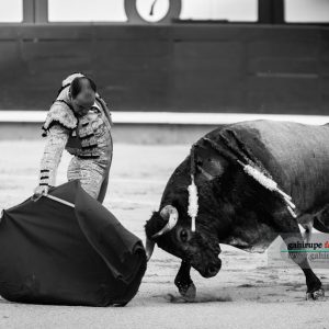 gahirupe_alberto_pozo_madrid_2018- (3)